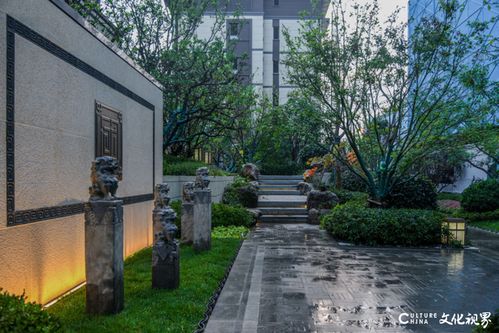 走进章丘国风源墅 济阳国风观澜 济南原山首府,感受山东世茂强大的产品力