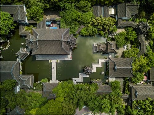 武汉滨江豪宅,为什么自建一座 自然美术馆