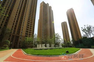 翡翠绽放 不言而誉 恒盛世茂